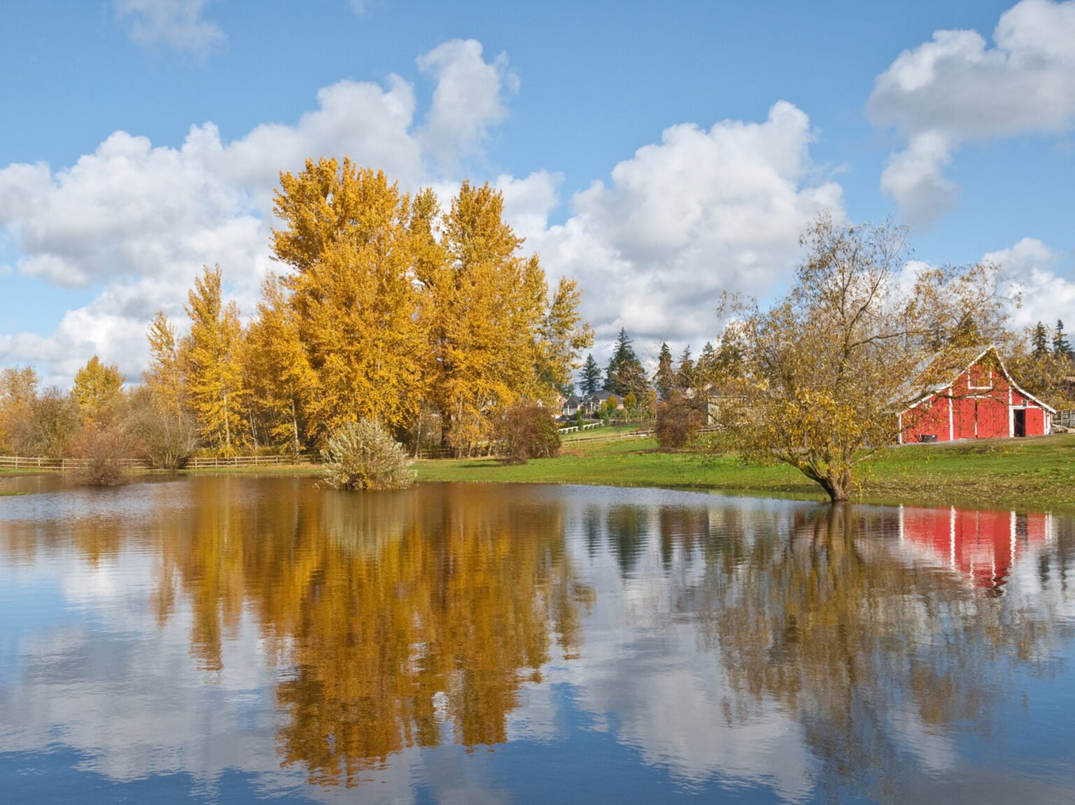 This well preserved barn is said to be over 100 years old. Here it is shown on a colorful fall day. The historic barn sits on a small farm in Edgewood, Washington State, USA.